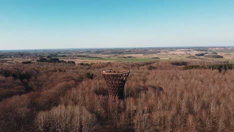 Aérea-Drone-Vista-Copa-De-Los-árboles-Experiencia-dinamarca