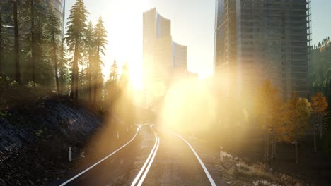 forest road to the city at sunset