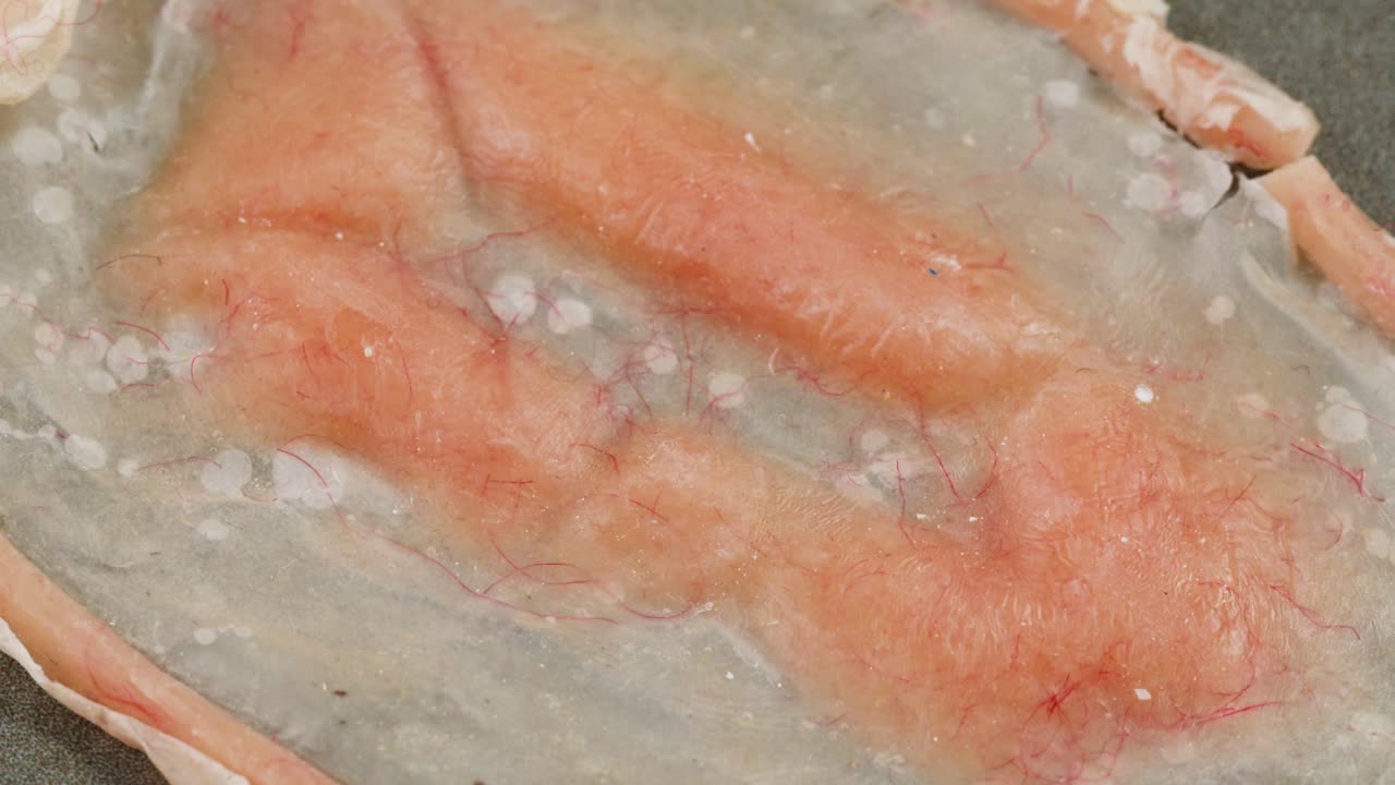 Make-up artist making fake scars and wounds close-up. Makeup equipment props for films and shooting. Bloody fake fingers for halloween and parties