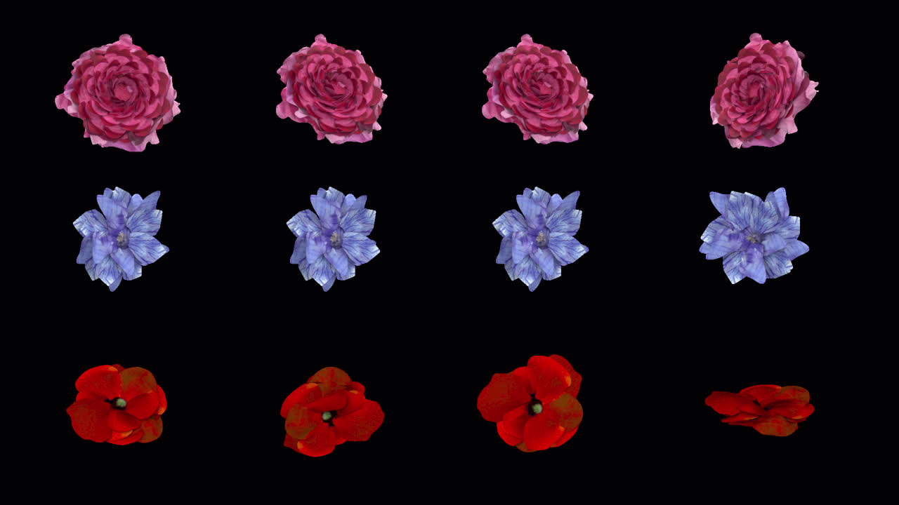 NATURE ELEMENT Flowers ABC withAlpha. Looping elements that can be isolated as sprites to use as textures with an alpha channel.