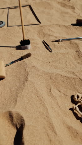 excavating a skeleton in sand