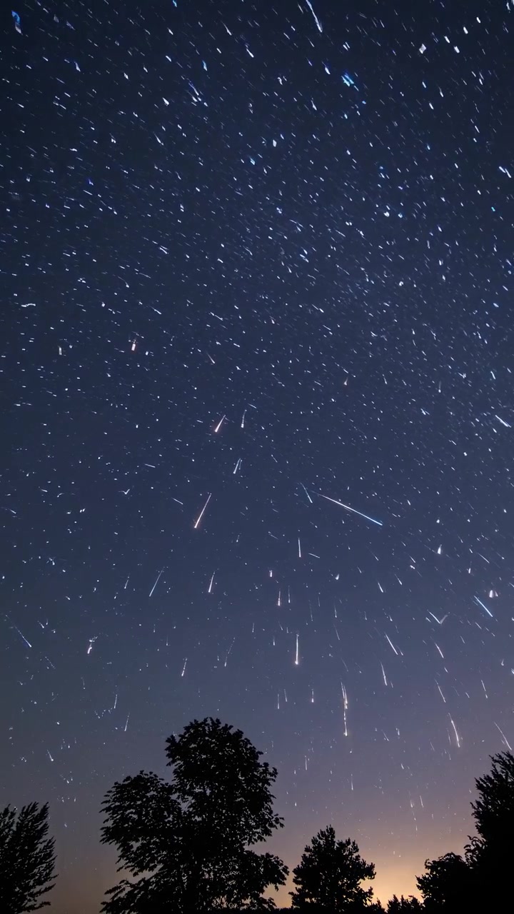 Time-lapse di uno sciame meteorico sopra alberi in silhouette di notte