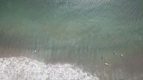 surfistas en el océano