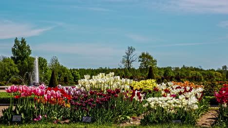 Timelapse-shot-of-some-colorful-flowers-and-people-going-by-at-high-speed