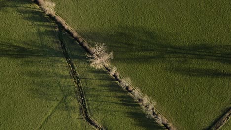 vista de pájaro setos hierba campo agua pozo y valle leicestershire inglaterra aire por encima