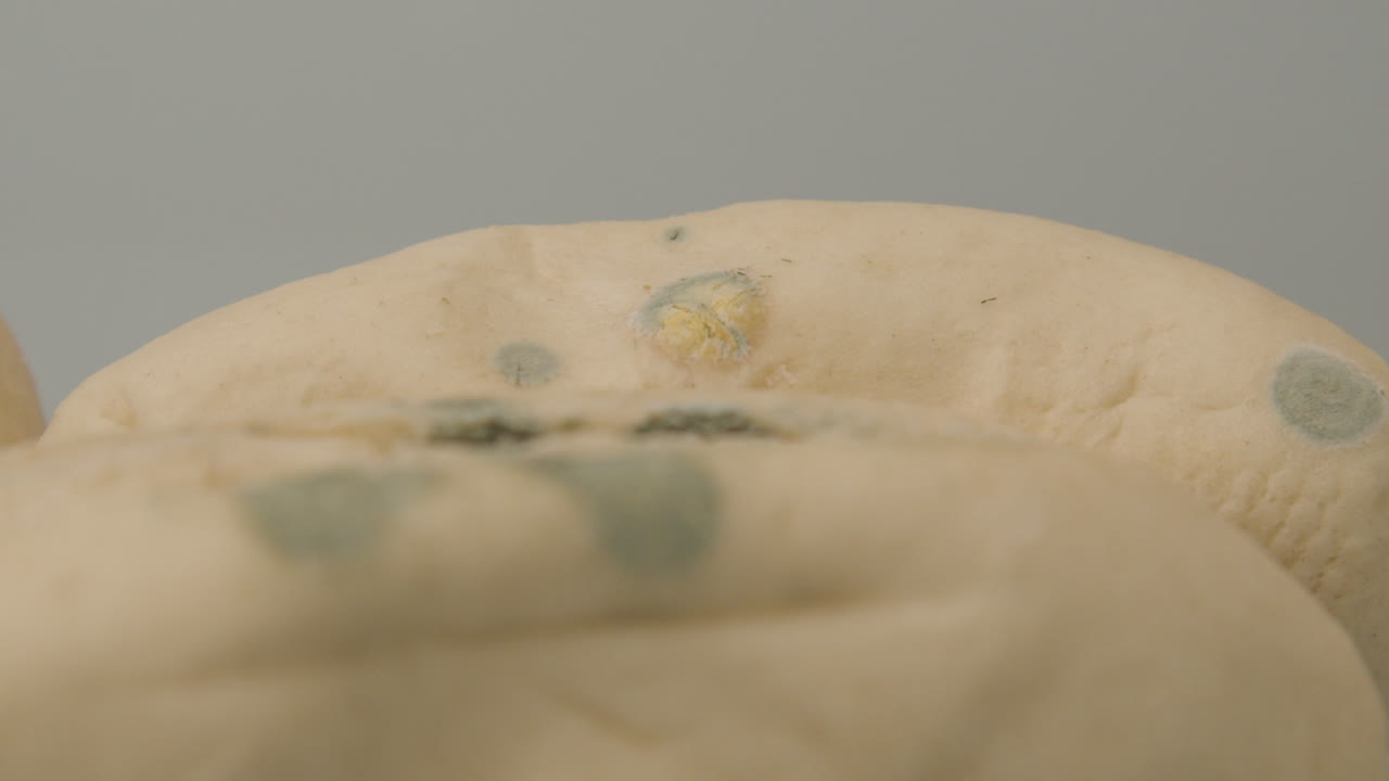 빵의 큰 곰팡이 반점에 랙을 집중