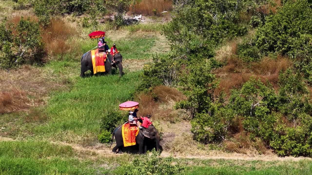 Campo lungo di elefanti che trasportano turisti attraverso un campo erboso sotto la luce del giorno in Thailandia