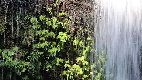 cascading waterfall through vibrant greenery