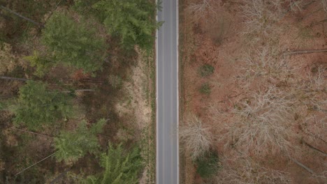 black car passing through frame in a top down drown shot of a forest road