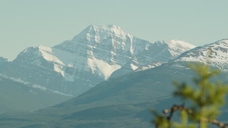 snow covered mount robson in the canadian rockies - blurred greenery