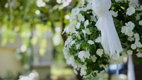 white petunia flower decorated for wedding ceremony