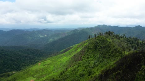 large-scale deforestation and agricultural crop burning: environmental impacts in northern laos