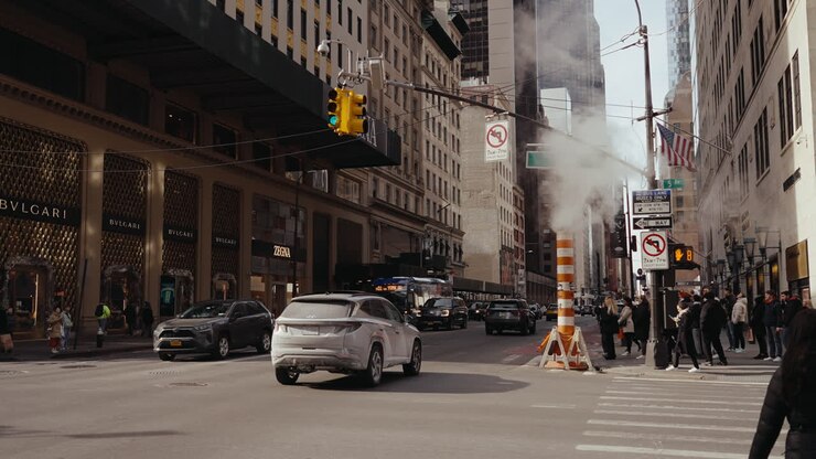 Fifth Avenue, New York City Street Scene
