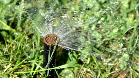 dispositivo moderno para el riego del jardín, bucle