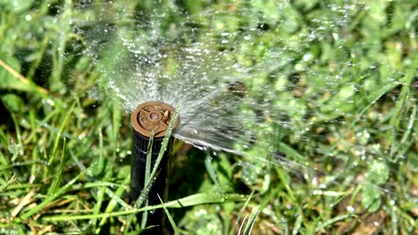 modern device for irrigation garden, loop