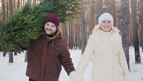 a young couple is walking along a snow-covered forest a man is carrying a christmas tree christmas e