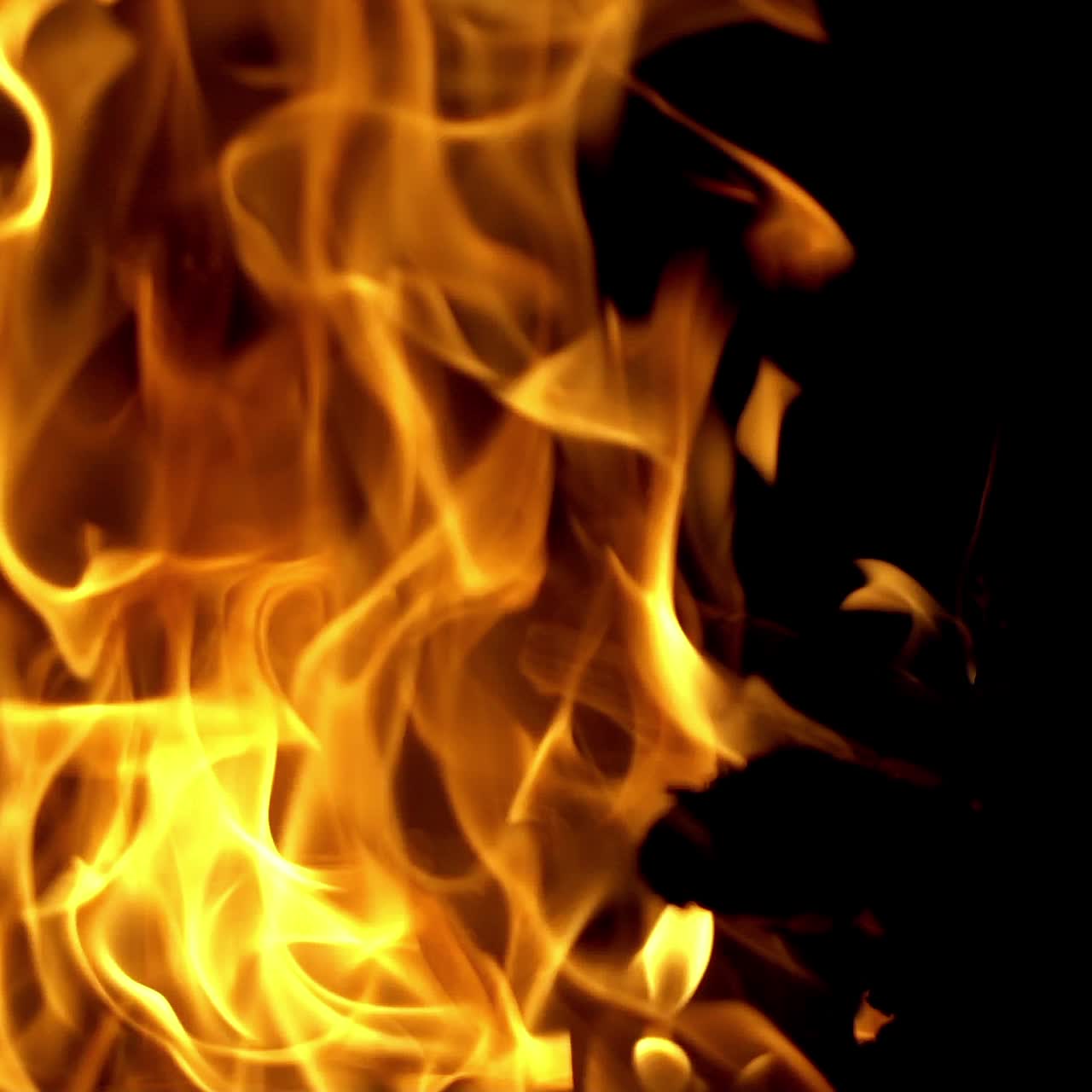 Campfire burning at night. Fire flame in slow motion. Concept of camping and active pastime.