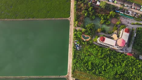 Antena:-Imágenes-De-Drones-Surrealistas-De-Un-Camino-Rural-Que-Corre-A-Lo-Largo-De-Lagos-De-Forma-Rectangular:-Uno-Está-Claro,-Otro-Está-Cubierto-Por-Una-Planta-De-Jacinto