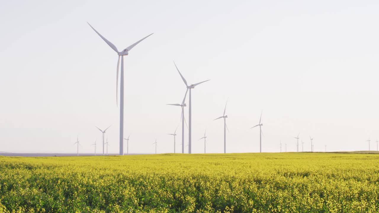 구름 없는 하늘을 가진 시골 풍경에서 풍력 터빈의 일반적인 모습