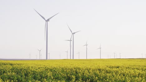 Gesamtansicht-Von-Windkraftanlagen-In-Ländlicher-Landschaft-Mit-Wolkenlosem-Himmel