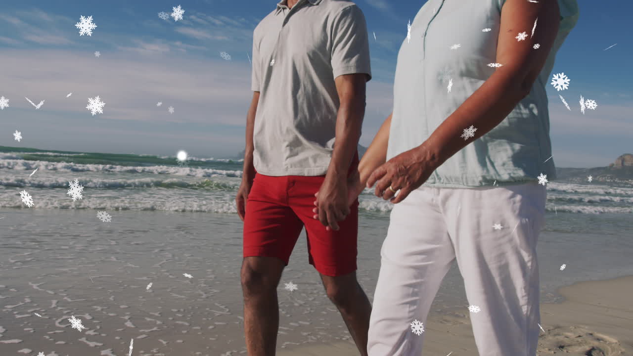 크리스마스 눈이 해변에 있는 고령 한 인종 부부 위에 떨어지는 애니메이션