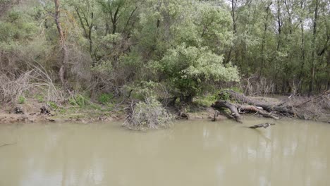 Naturschutzgebiet-Donaudelta