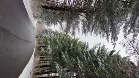 Snowy-day-in-Clifty-Falls-State-Park,-Indiana