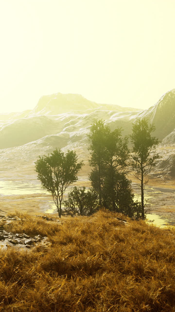 hermoso paisaje montañoso con árboles y hierba