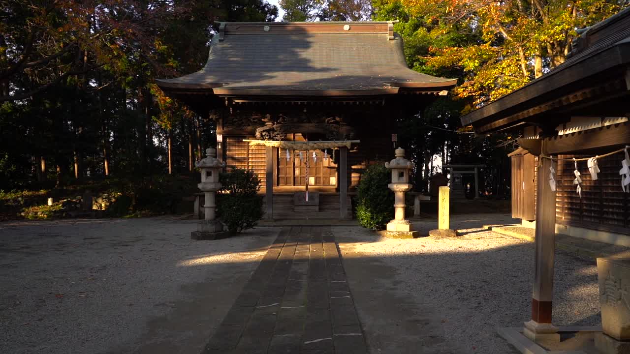 tokio, japón - un templo sagrado hecho de madera capturado al amanecer - toma de empuje