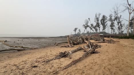 cinematic ultra wide shot of a beach during daytime after cyclone hit in tajpur, india