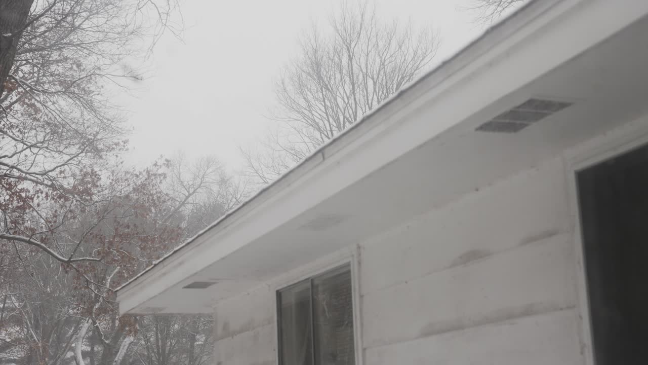 снег, падающий у берегов озера в мичигане