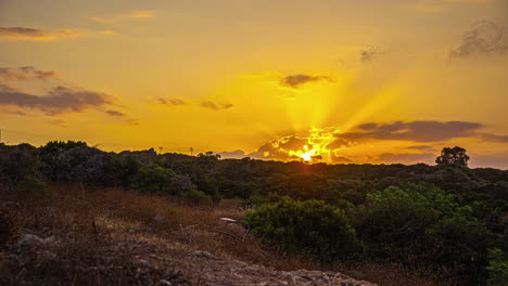 Puesta-De-Sol-Dorada-Sobre-Los-árboles-Y-El-Bosque-Cerca-De-Protaras,-Chipre---Lapso-De-Tiempo