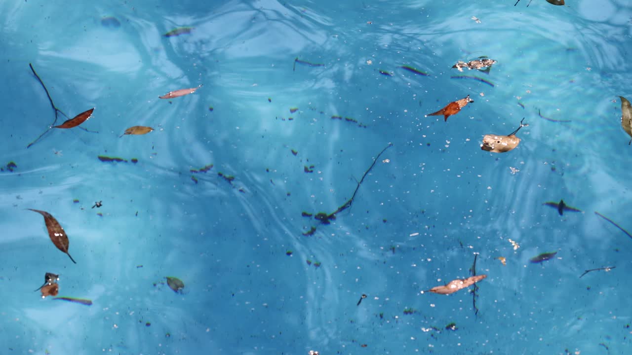 다채로운 물고기가 은 파란 물을 가로질러 움직입니다.