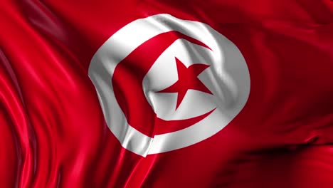 beautiful   3d animation of tunisia flag in loop mode