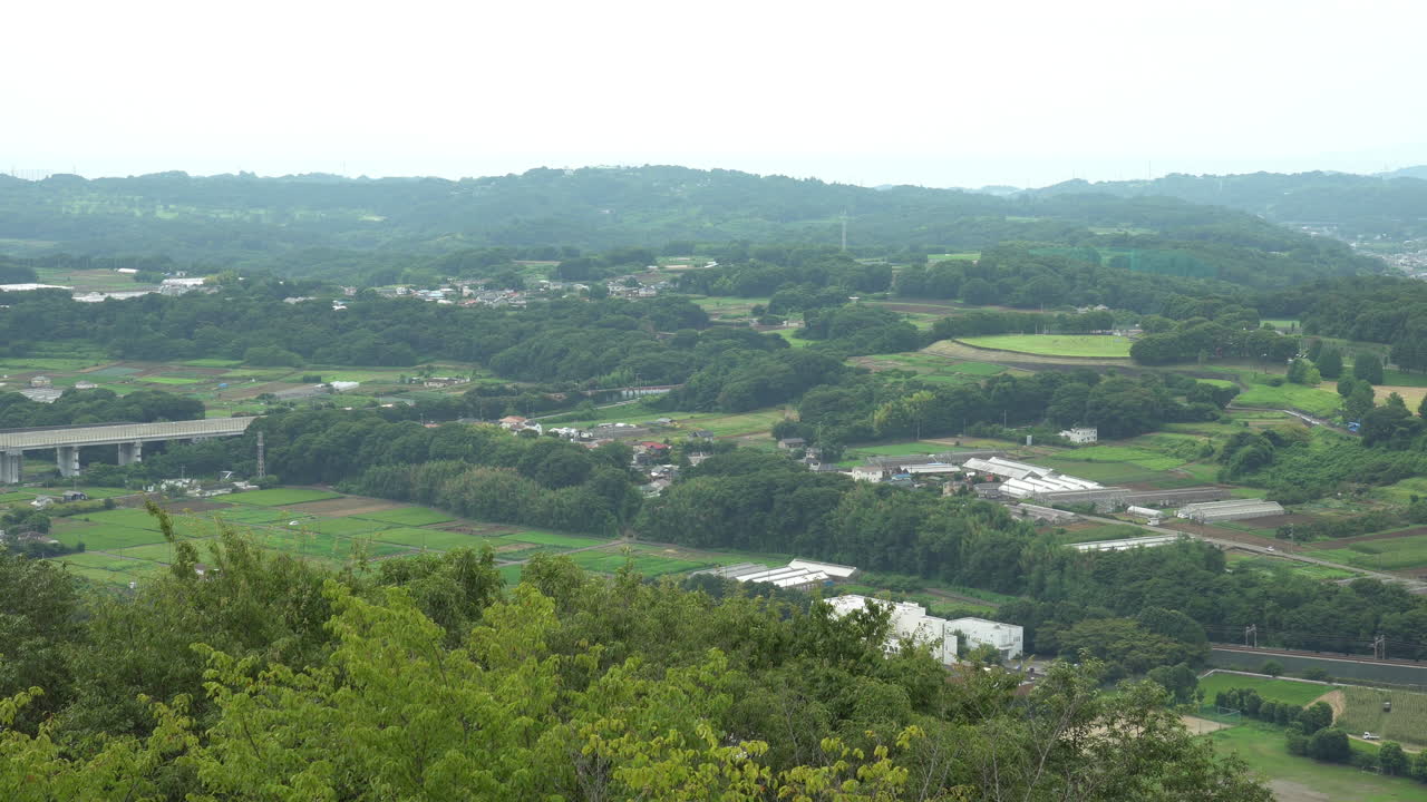 Green Landscape with Trees and Fields