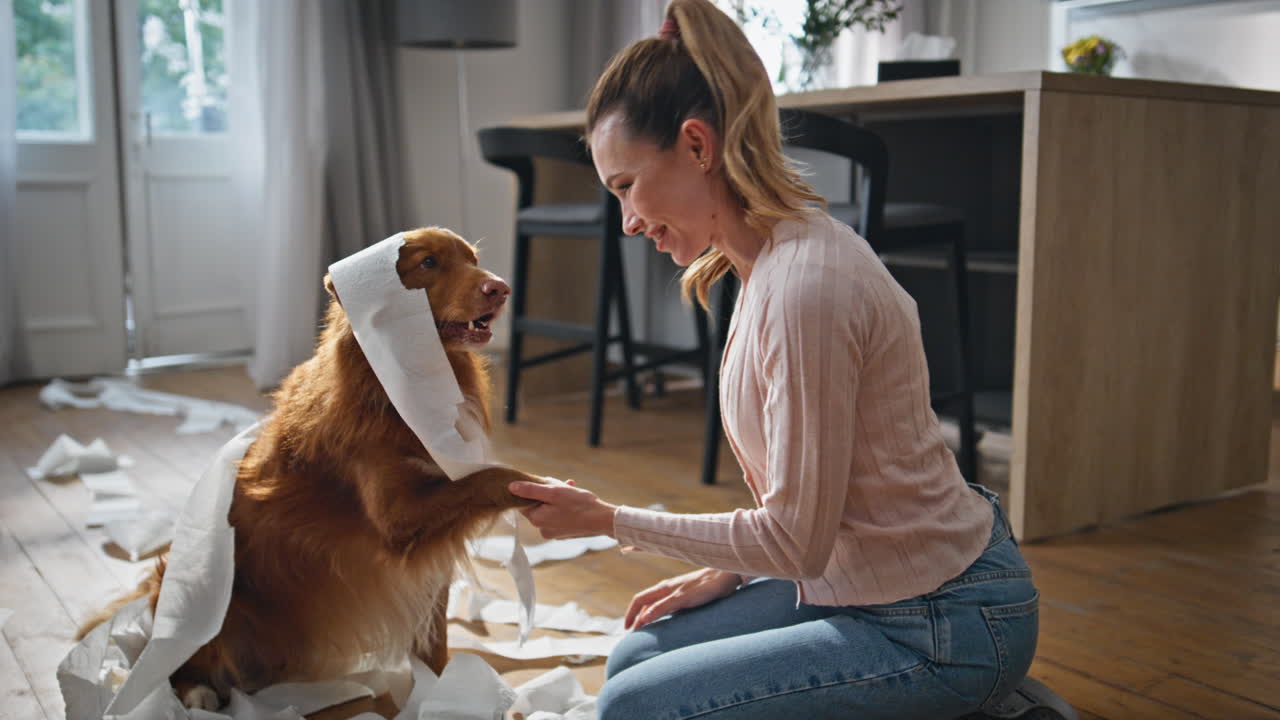 Naughty pet enjoy caressing owner in mess living room close up. Woman stroking