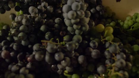 pouring othello grapes into a vintage crusher