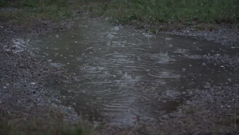 close shot of darken rain puddle, 4k