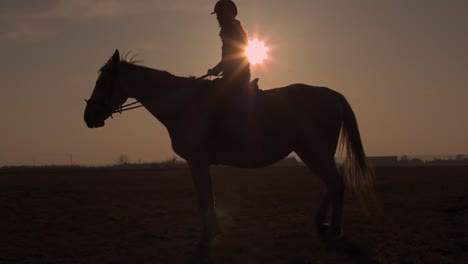 low sun shines on horse and rider standing in open field, full