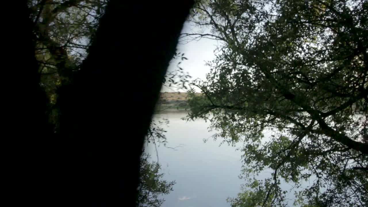 여름 동안 스테디캠으로 거울 같은 연못의 모습을 공개합니다.