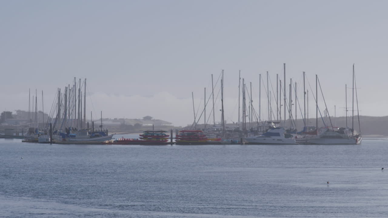 모스 랜딩 하버 캘리포니아에 정박한 범선의 슬로우 모션 샷