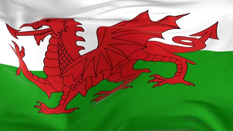 waving  looped flag as  background wales