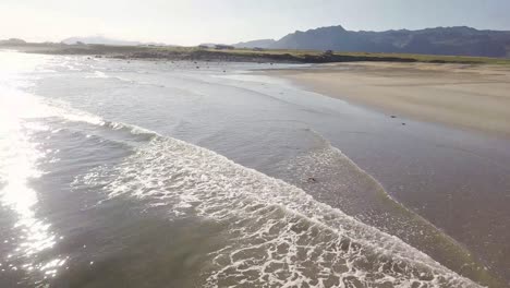 imágenes aéreas de una rara playa de arena dorada y olas tranquilas durante el verano soleado en la península de snaefellsness, islandia