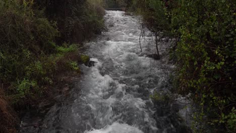 aguas torrenciales tel dan israel sitio bíblico