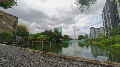 timelapse de un hermoso lago en una cafetería en la ciudad de bangkok con nubes que barren sobre el agua rodeadas de naturaleza y edificios de apartamentos