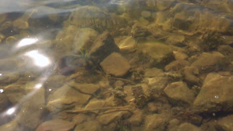 Ruhiges-Und-Klares-Wasser-Am-See,-Das-Steine-Am-Grund-Des-Sees-Enthüllt