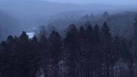 Gently-falling-snow-over-a-dense,-beautiful-rolling-woodland