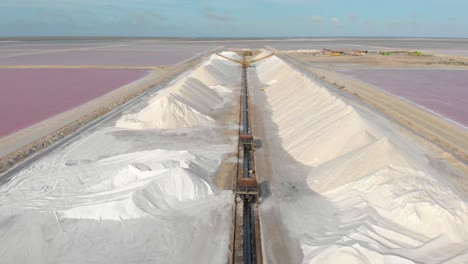 volando sobre las pilas de sal blanca en bonaire en contraste con los coloridos estanques de sal rosa