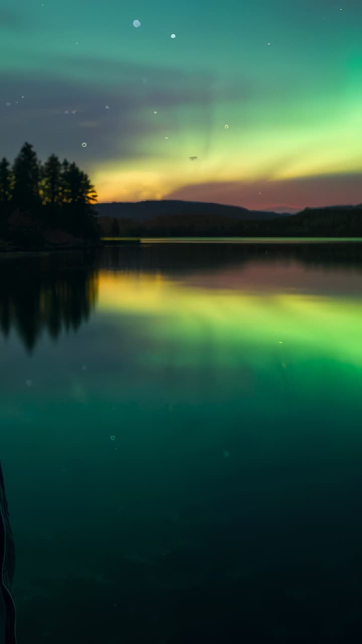 Vertical video: Adult watching aurora rising by lake, gazing at trees and reflections, copy space
