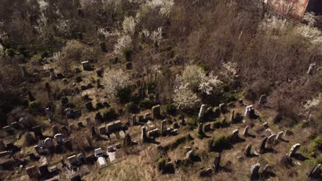 aerial view of old abandoned cemetery, halloween background